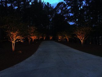 Outdoor Exterior Landscape Lighting